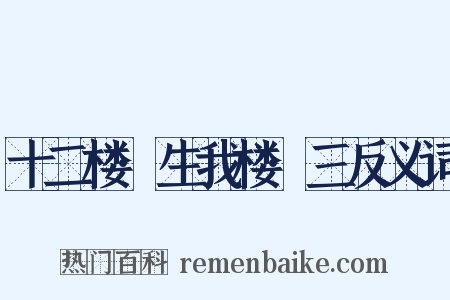 十二楼·生我楼·三反义词是什么意思的图片